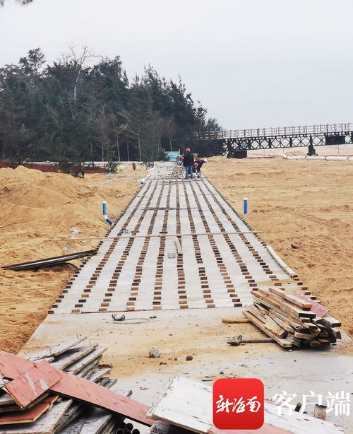 原創組圖 ?？谖骱０敦炌ǜ鹿こ套钚逻M展 國際會展中心附近沿海新建路完成瀝青路面鋪設